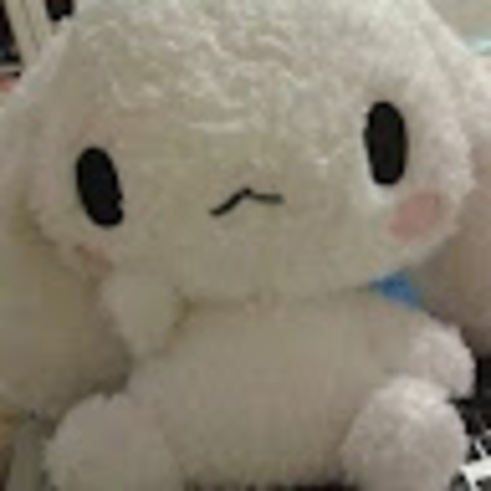 Meet your Posher, Kai